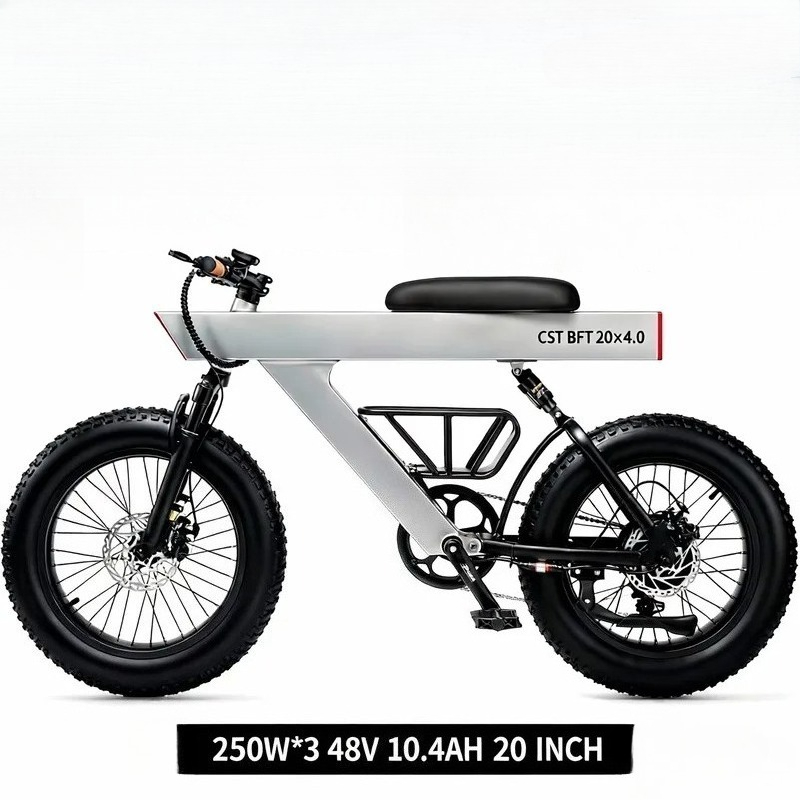 Sepeda Listrik Dewasa 500W Ter - Road Bike Tire ulasan dan harga