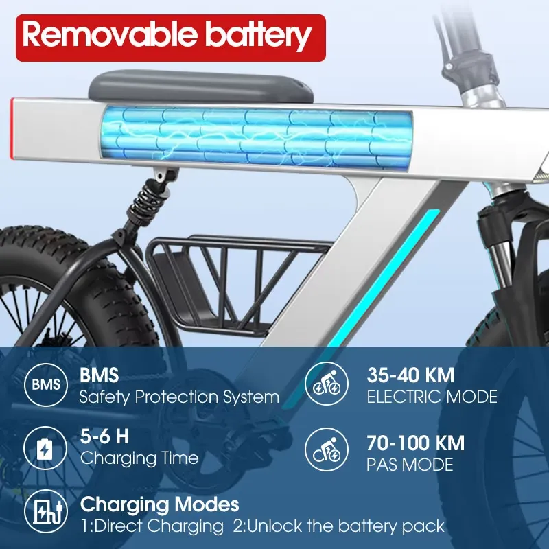 Sepeda Listrik Dewasa 500W Ter - Road Bike Tire ulasan dan harga